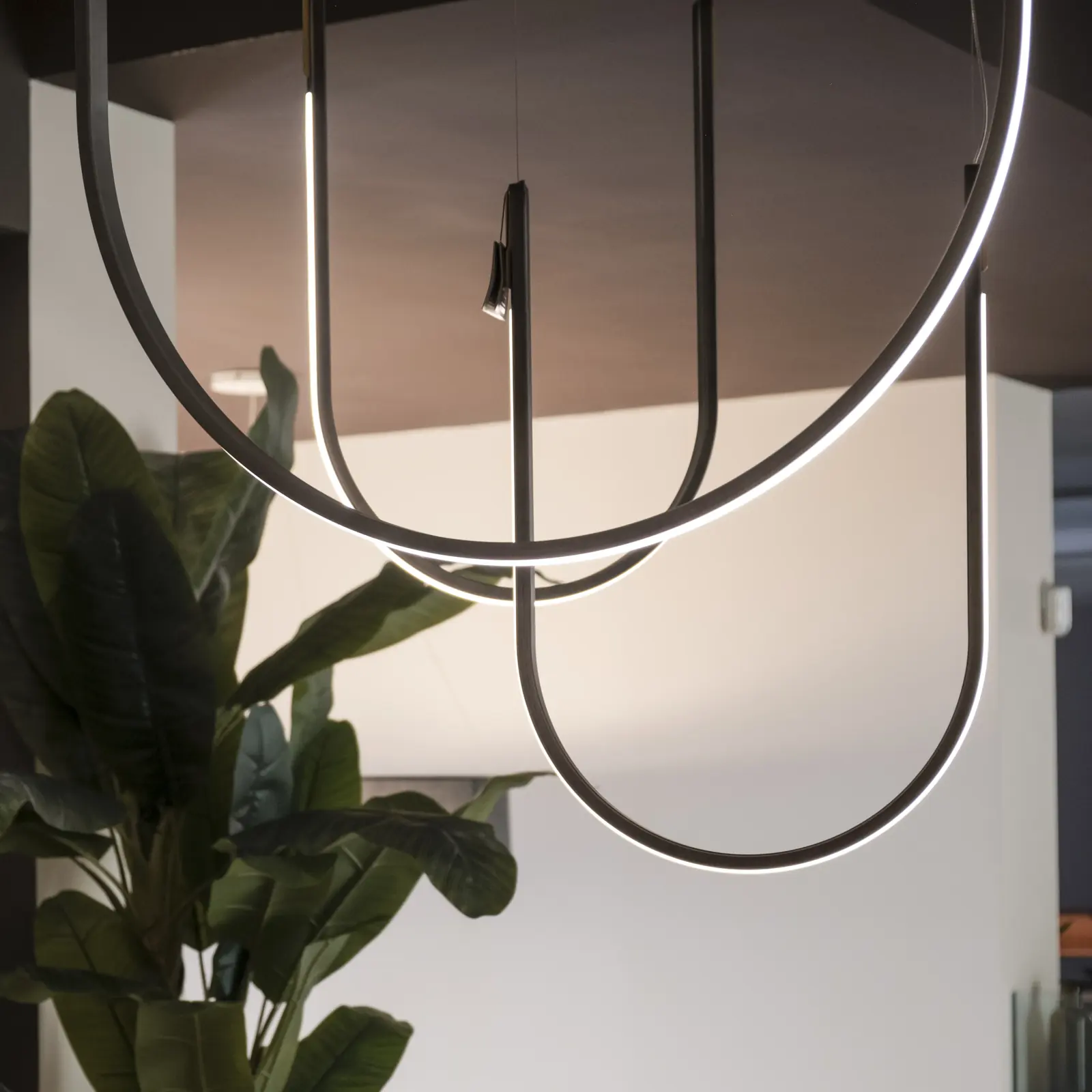 Showroom Cattelan